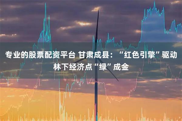 专业的股票配资平台 甘肃成县：“红色引擎”驱动林下经济点“绿”成金