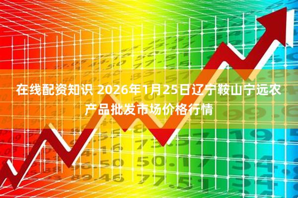 在线配资知识 2026年1月25日辽宁鞍山宁远农产品批发市场价格行情