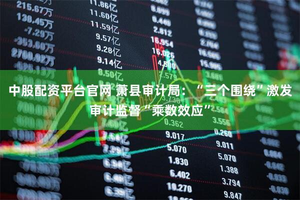 中股配资平台官网 萧县审计局：“三个围绕”激发审计监督“乘数效应”